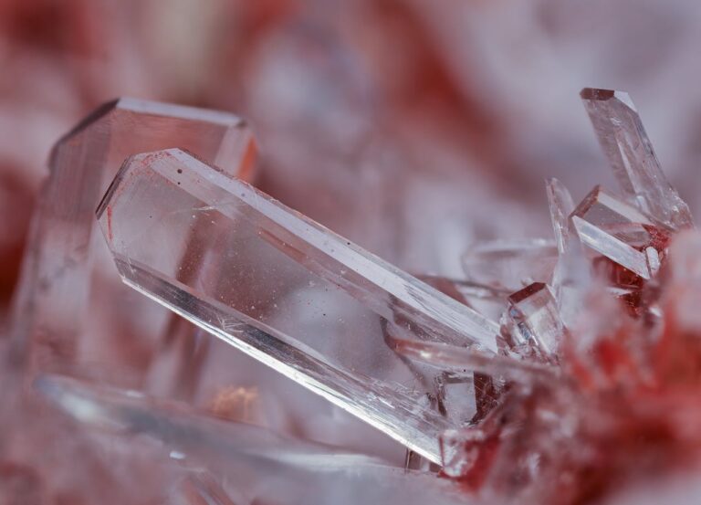 chinas critical minerals